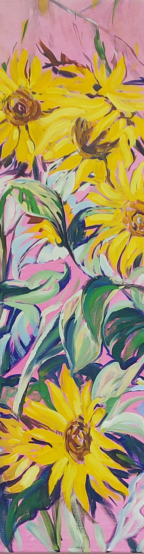 Fields of Sunflowers by Tamara Vieira
