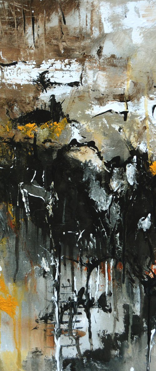 Cave wall abstract by Pol Henry Ledent