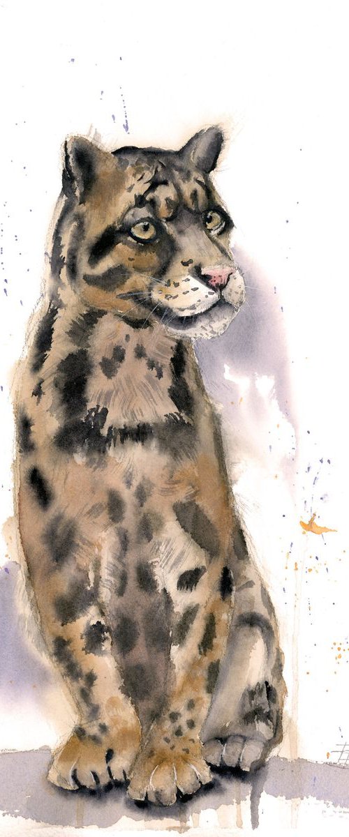 Clouded leopard by Olga Tchefranov (Shefranov)