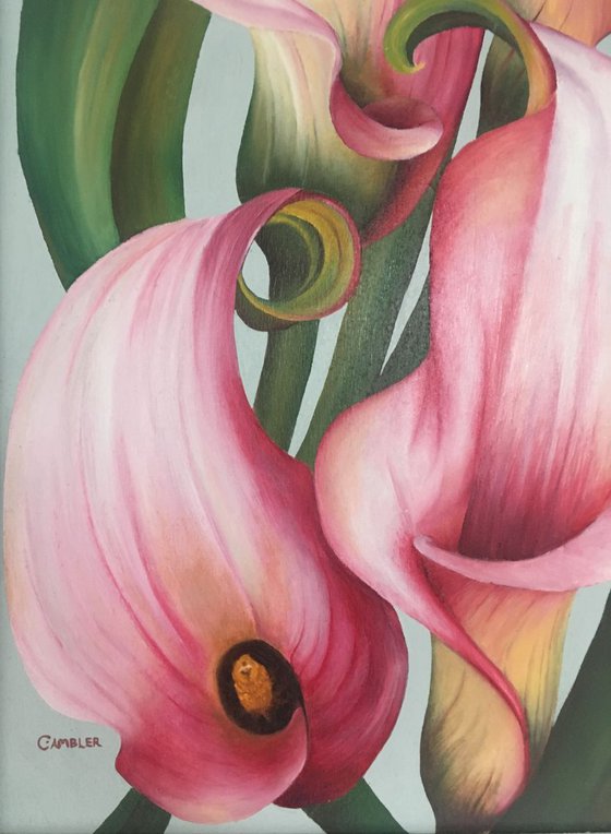 Pink Calla Lilies - Framed Oil Painting