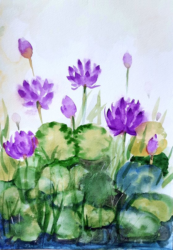 Purple water lilies 6