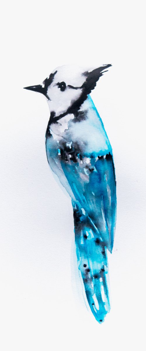 Bird by Nadia Moniatis