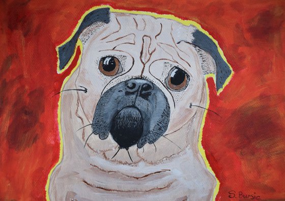 Sad Pug Boy No. 1