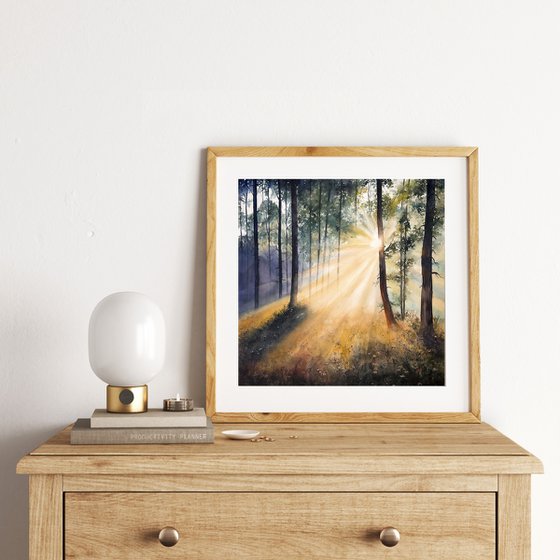 Whispers of Morning Light