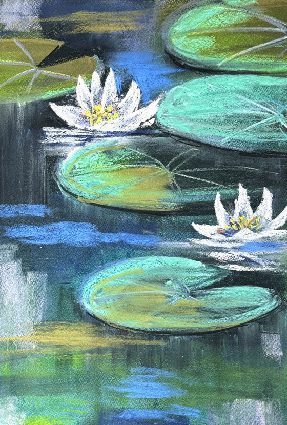 Waterlily Set of 2 Pastel