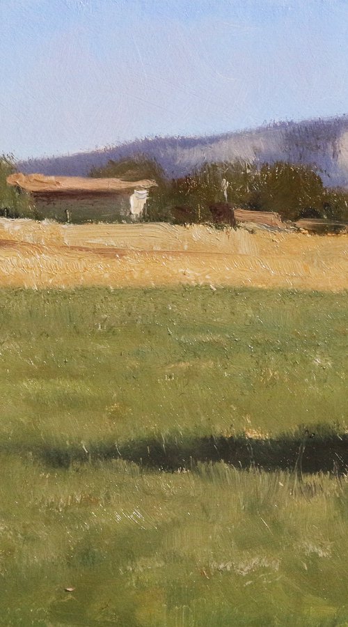 Farm in Provence by Pascal Giroud