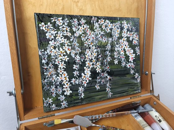 White Cherries 1