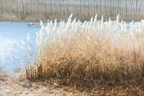 Reeds beside river c2043 by Kunlong Wang