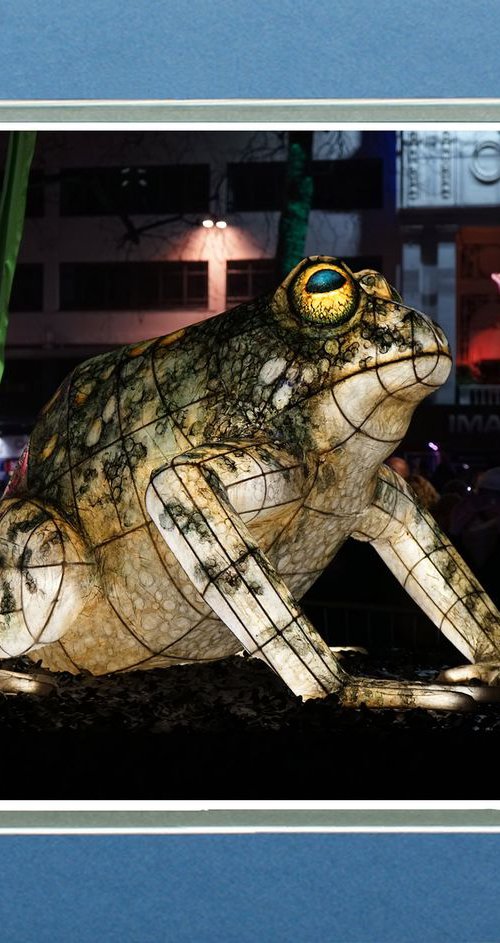 Lumiere London Frog by Robin Clarke