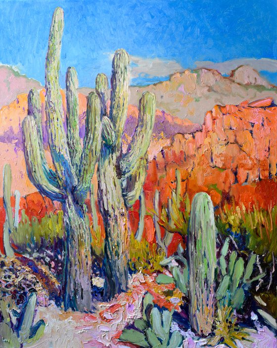 Saguaro Cactuses in the Desert