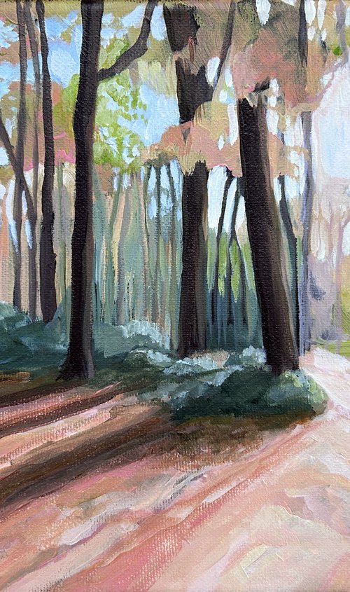 Autumn Light by Jo Lillywhite