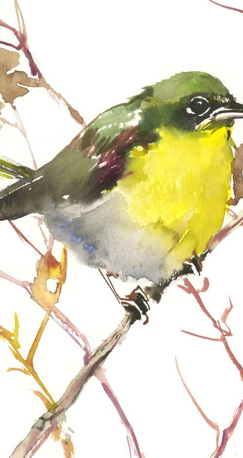 Bird painting by Suren Nersisyan