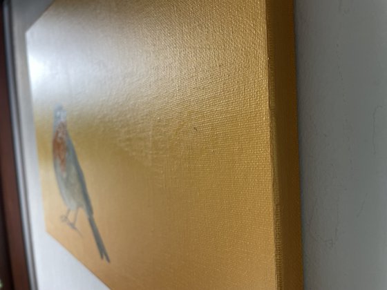 Robin Redbreast