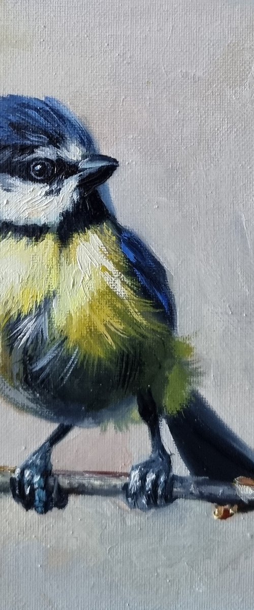 "Tit bird. "   birds 2021 by Anna Bessonova (Kotelnik)