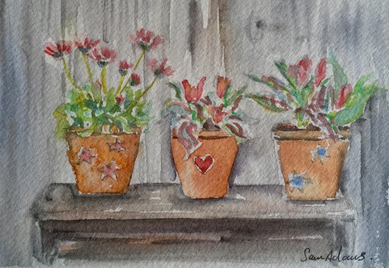 Three flower pots