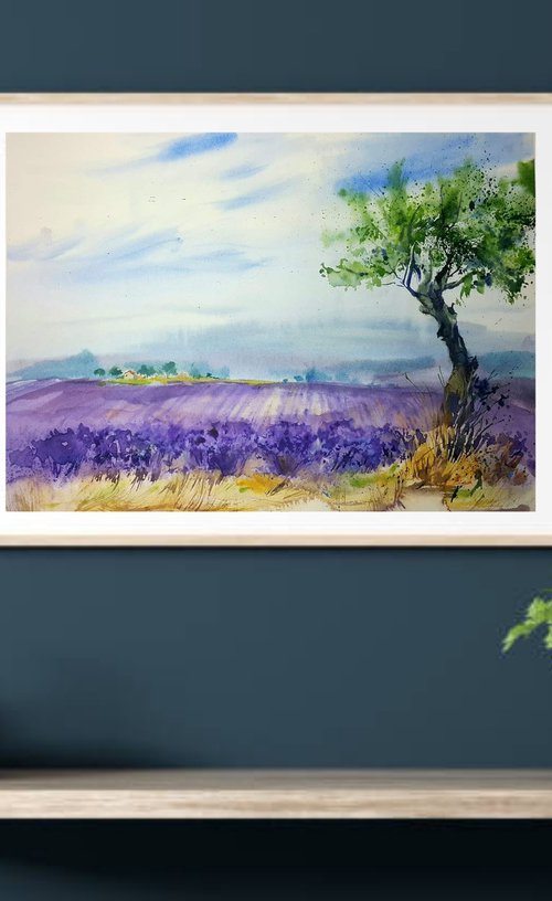 Landscape  in Provence. Lavender fields #1 by Mariana Briukhanova