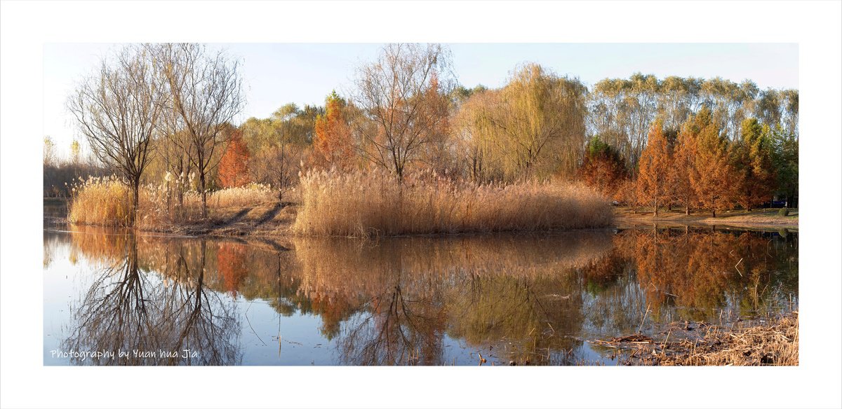 Photorealistic Landscape Photograph By Yuan Hua Jia, 61 X 30", Autumn Colors #3, Original Artwork