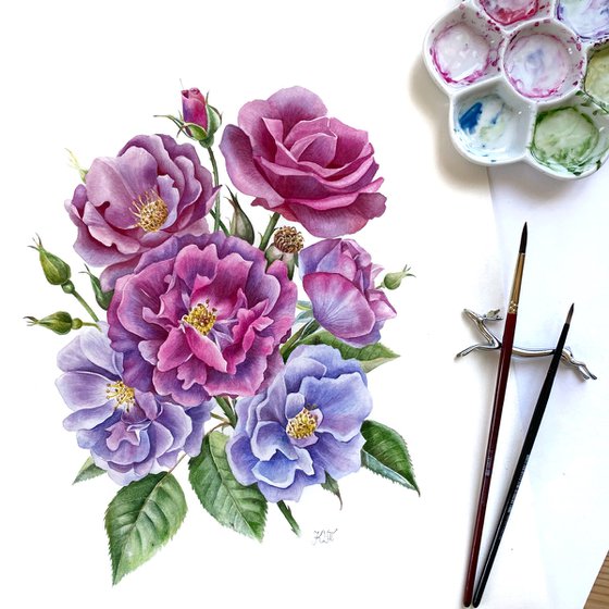 Rose ‘Rhapsody in Blue’ botanical painting