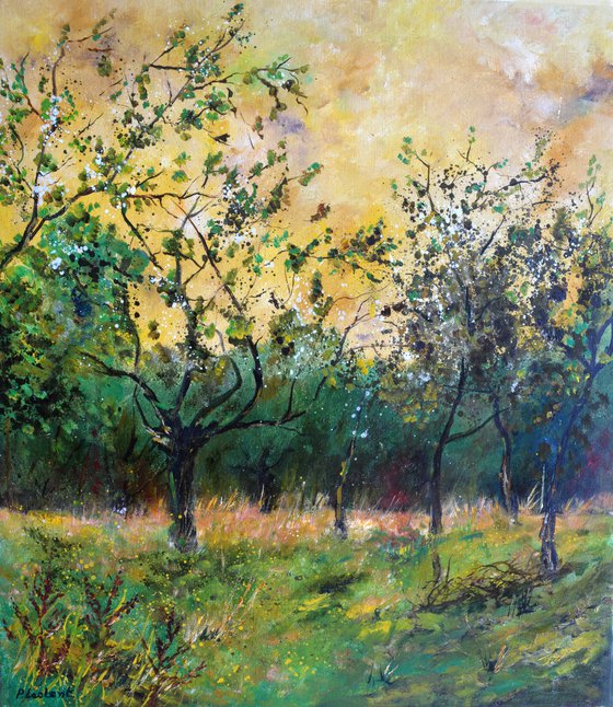 Orchard in spring