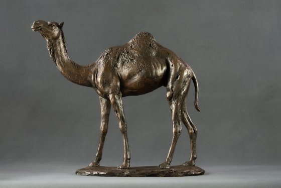 Camel  Bronze Resin sculpture
