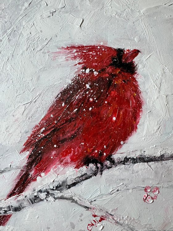 Red Cardinal