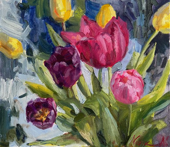 Colorful tulips