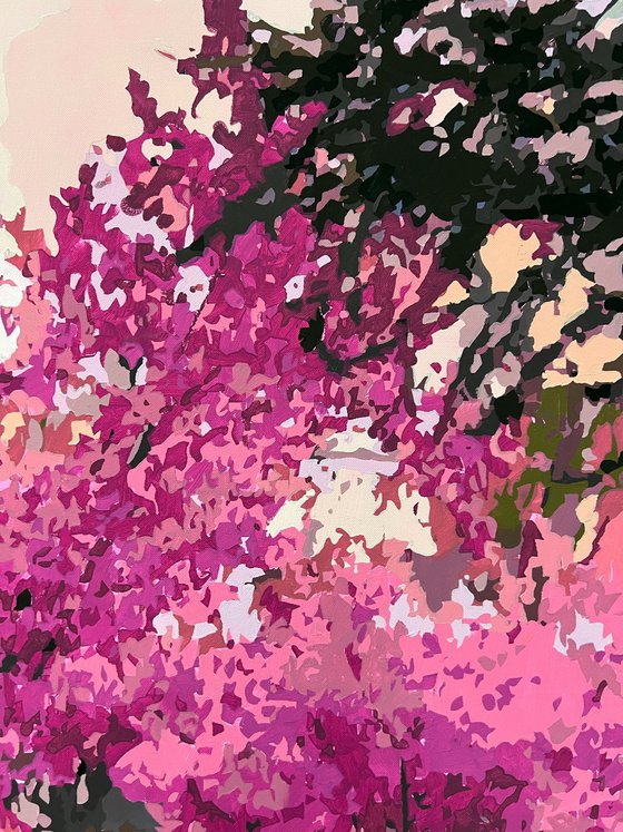 Blossom Reflections