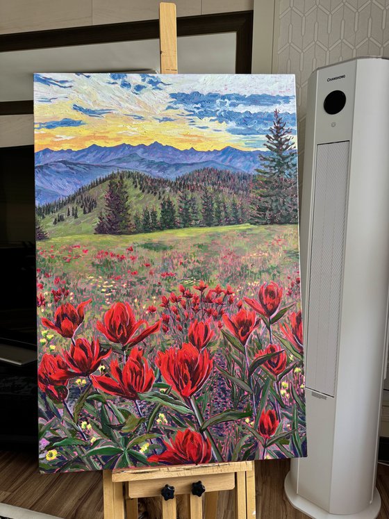 Scarlet Indian Paintbrush at Sunset