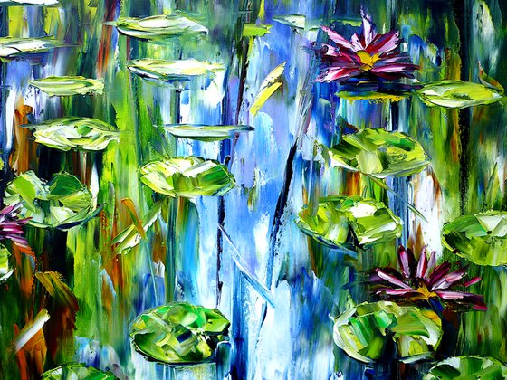 Water Lilies And Lotus Flowers