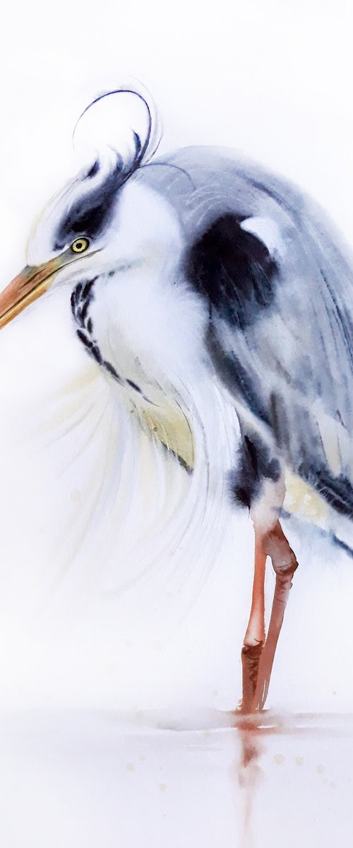 Grey heron -  19 x 25 in (50 x by Olga Beliaeva Watercolour