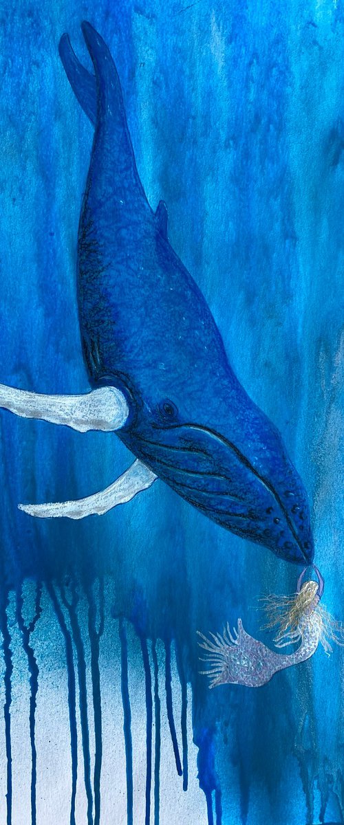 The Whale and the Mermaid by Ruth Searle