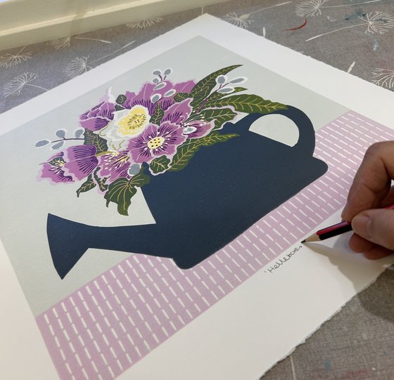 Hellebores
