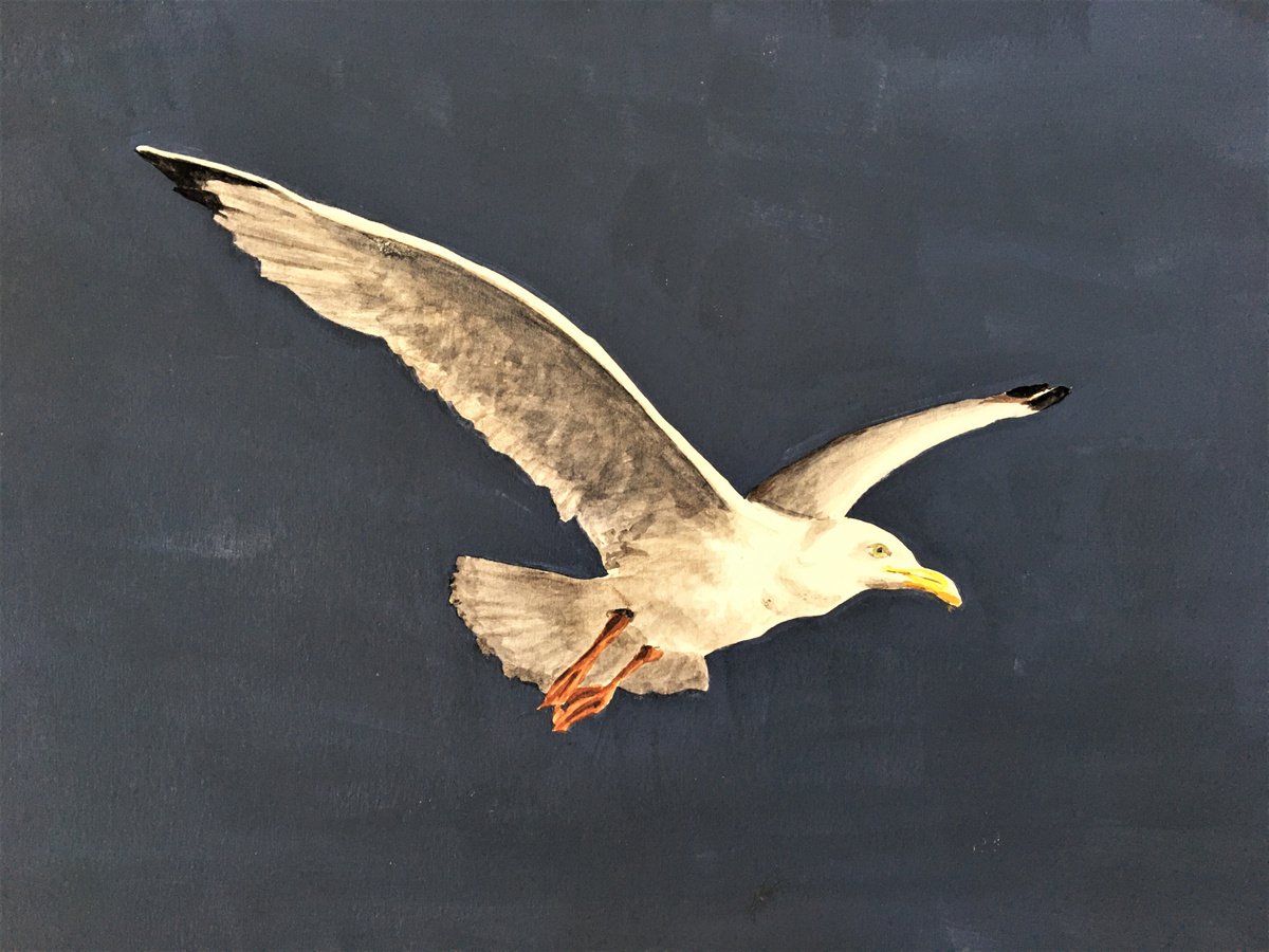 Lone Gull #3 by Laurence Wheeler