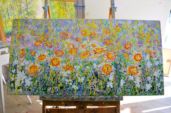 Daisy Blooms