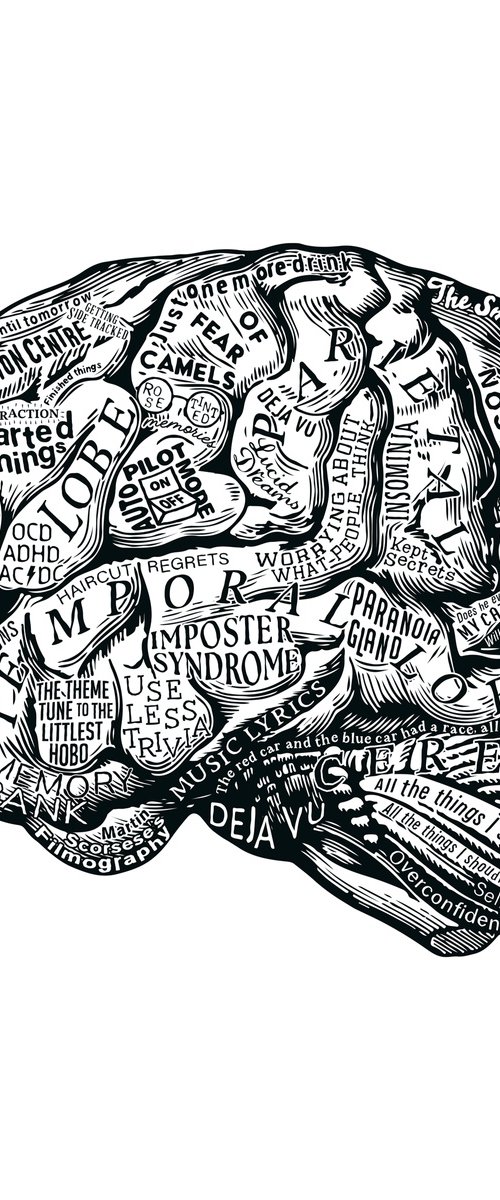 Anatomy Of The Brain by Dex