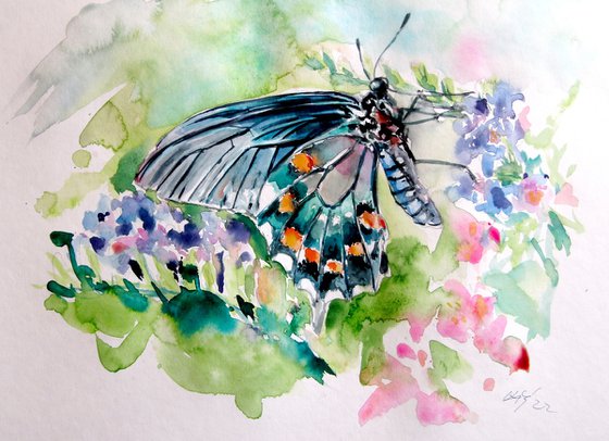 Butterfly with flowers