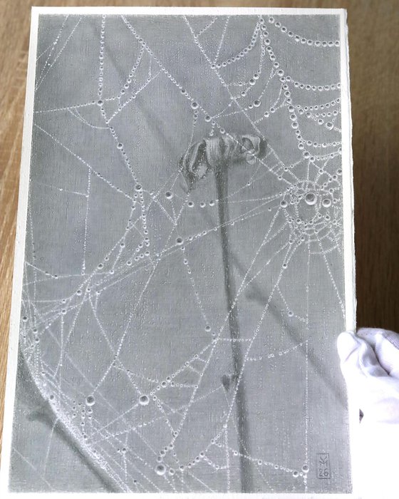 Spiderweb: Crystal Lace