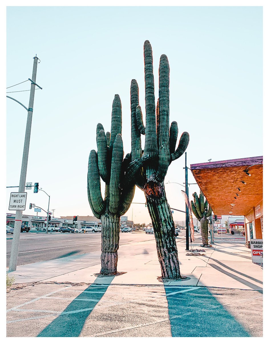 Photorealistic Photograph , Nature On Main Street By John Celeste, 18 X 24, Artwork For Sale On Artfinder