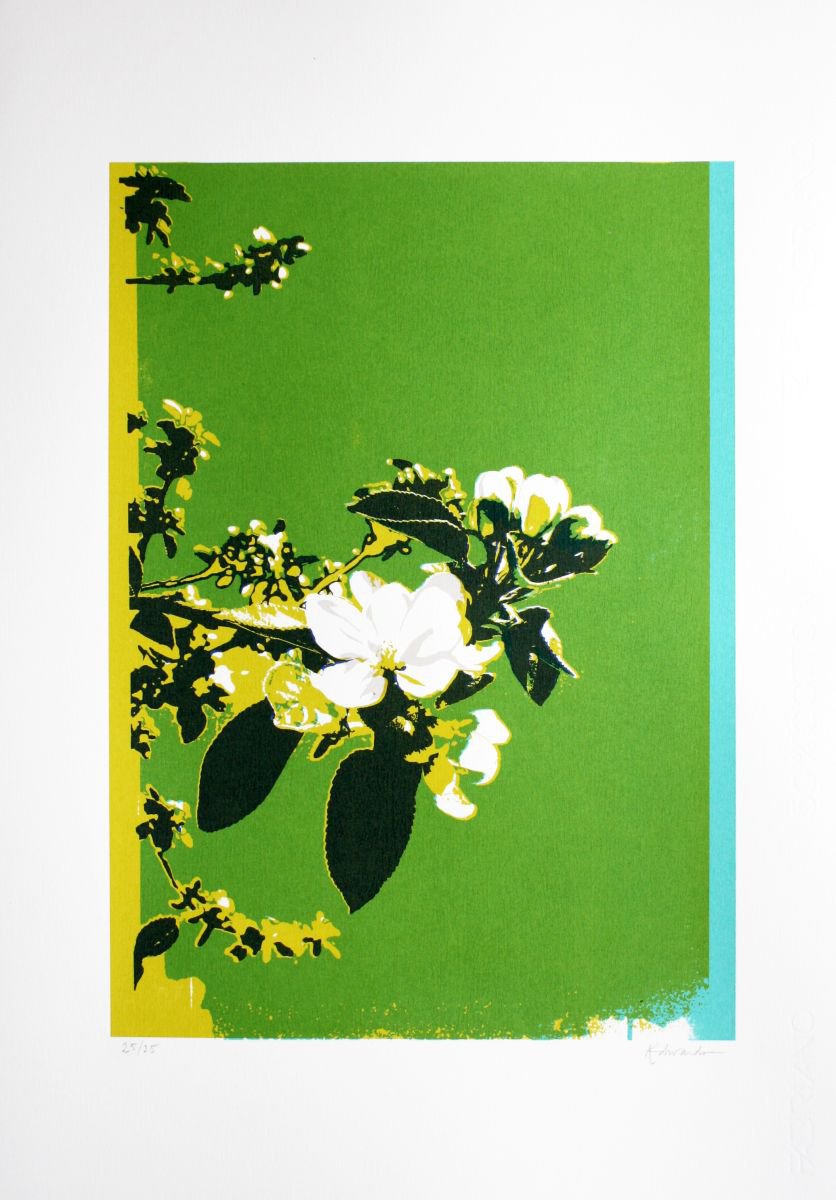 Graphic Botanical Screenprint By Kath Edwards, 14 X 20", Spring Blossom (Green), Original Artwork