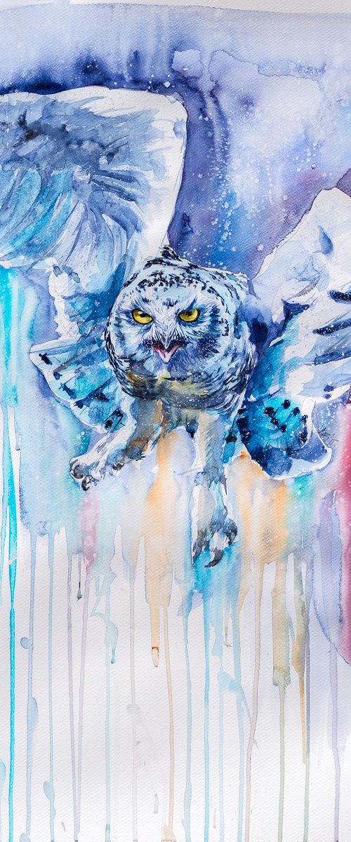 Snowy owl flying by Kovács Anna Brigitta