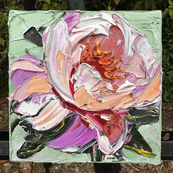 Peony Perfect III