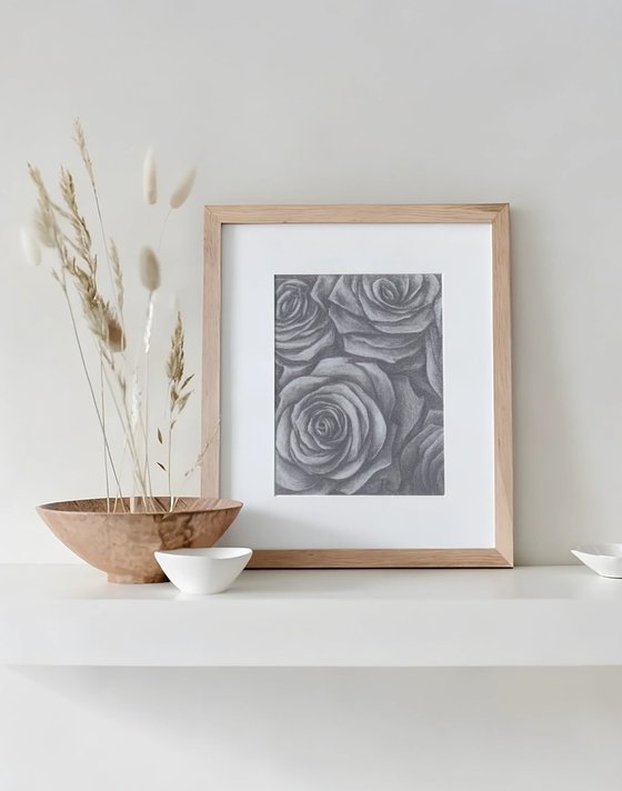 Black Roses. Graphite Flowers Series
