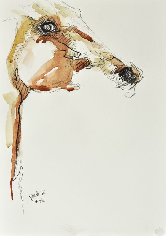 Equine Nude 27t