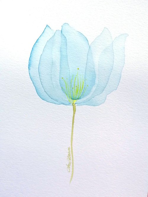 Flower by Anamaria