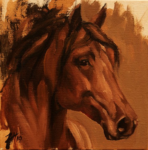 Equine Head Arab Chestnut (study 27) by Zil Hoque