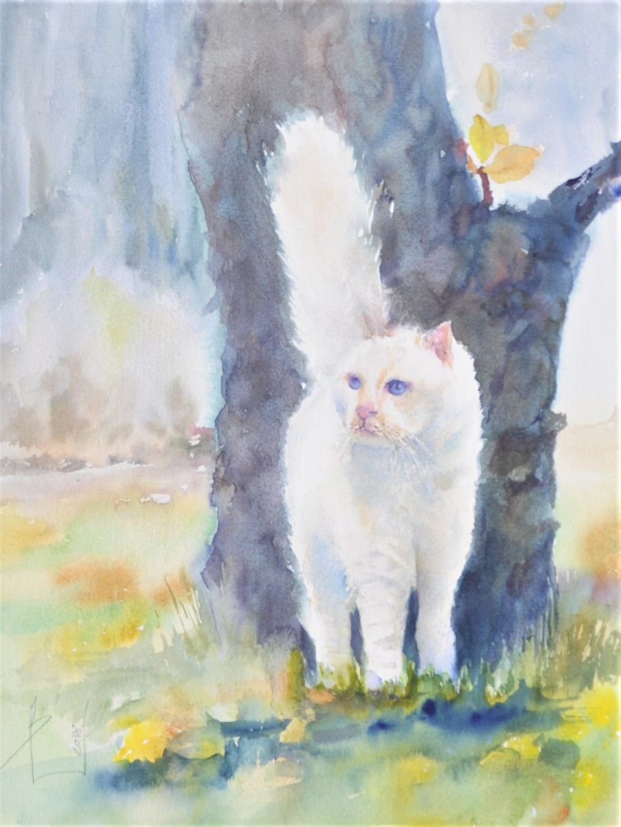 WHITE CAT 2018.056  original watercolour 46x32 by Beata van Wijngaarden
