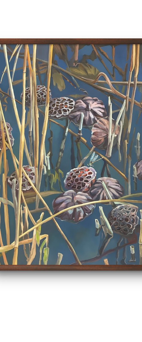 Lotus pond.Pods by Guzel Min