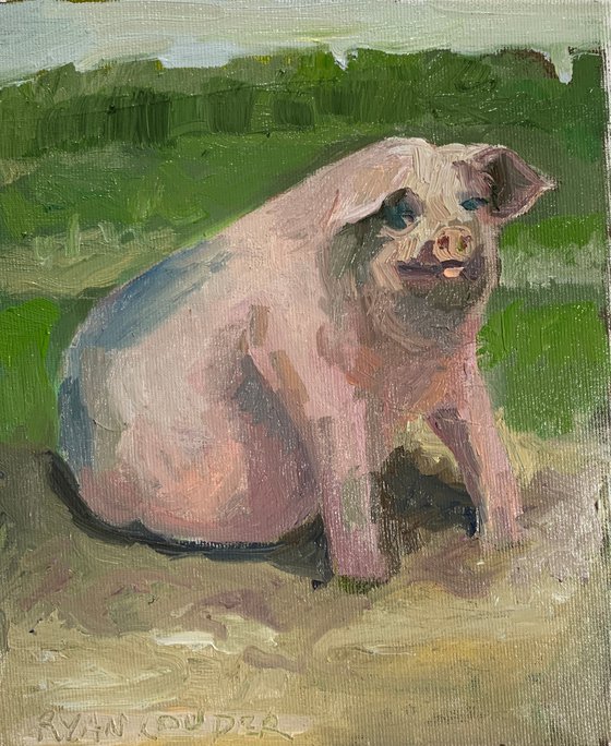 Pig