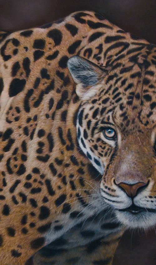 The Jaguar by Tatjana Bril