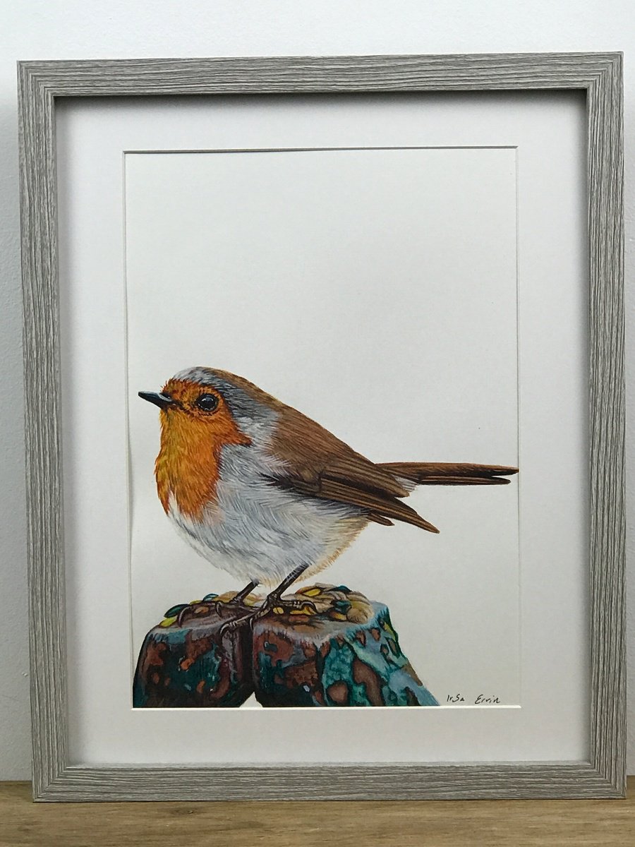 Photorealistic Painting , Little Robin By Irsa Ervin, 15 X 12, Artwork For Sale On Artfinder